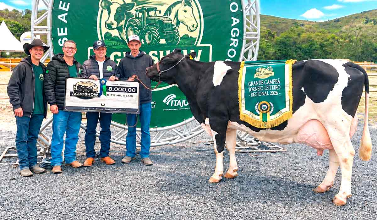 Holandesa MJ Filhos Favorita alcançou 129,250 kg de leite em 24 horas Holandesa MJ Filhos Favorita alcançou 129,250 kg de leite em 24 horas