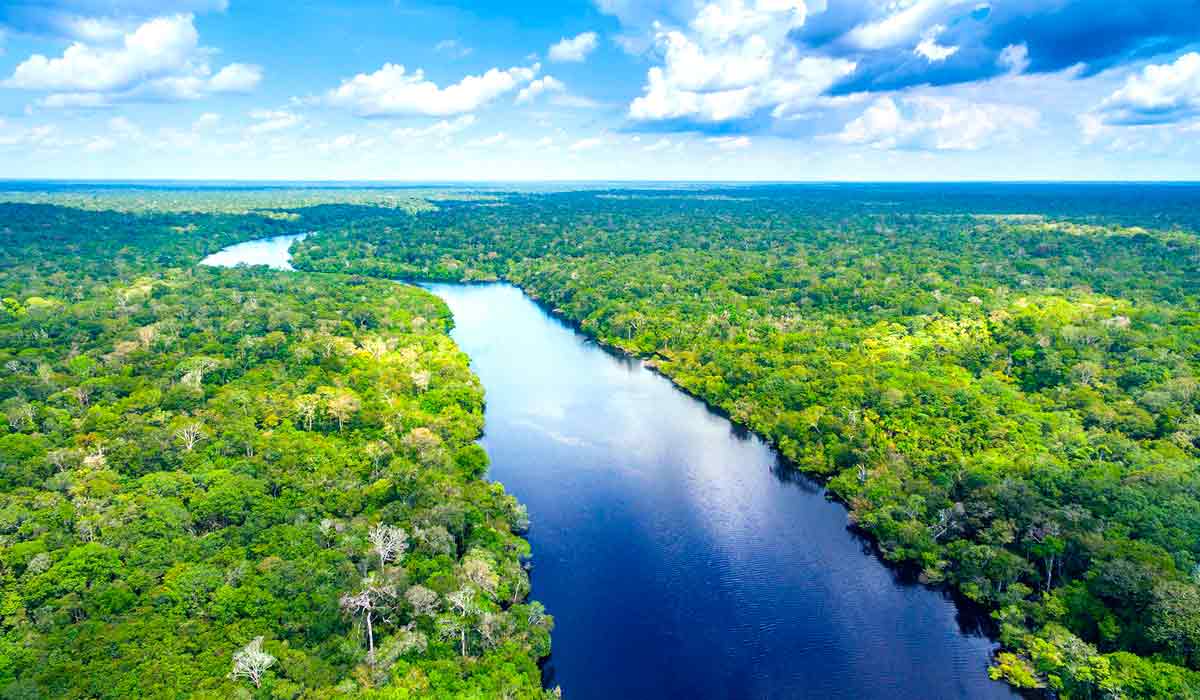 Brasil articula mecanismos para ampliar a conservação e florestas em pé ganham espaço nas estratégias de financiamento climático Brasil articula mecanismos para ampliar a conservação e florestas em pé ganham espaço nas estratégias de financiamento climático