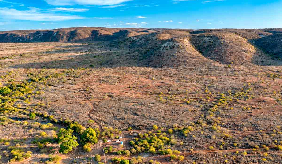 Paisagem da caatinga na região de Curaçá, Bahia, onde ocorre o projeto de reintrodução da ararinha-azul na natureza - Foto: Miguel Monteiro Paisagem da caatinga na região de Curaçá, Bahia, onde ocorre o projeto de reintrodução da ararinha-azul na natureza - Foto: Miguel Monteiro