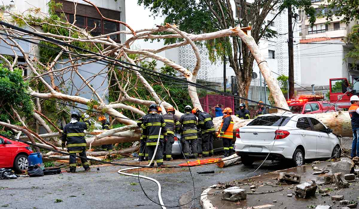 Árvore caída sobre um carro em uma rua de São Paulo, durante o forte vendaval