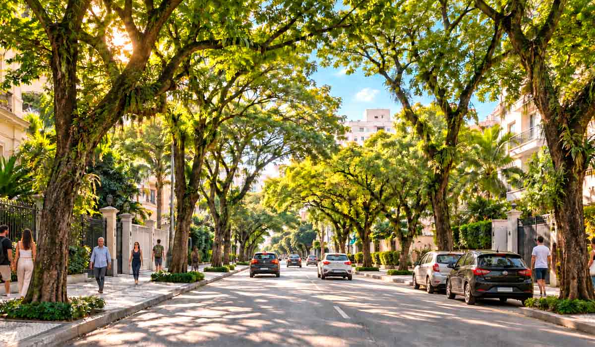 Árvores de grande porte ladeiam avenida urbana em dia de sol, retratando as copas densas que reduzem a temperatura e protegem os espaços públicos Árvores de grande porte ladeiam avenida urbana em dia de sol, retratando as copas densas que reduzem a temperatura e protegem os espaços públicos