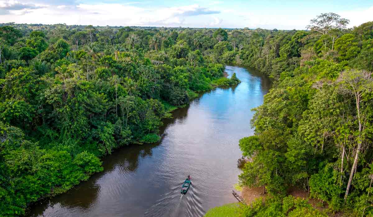 Floresta amazônica vista do alto revela rios que serviram de caminho para povos que manejaram a paisagem por milênios