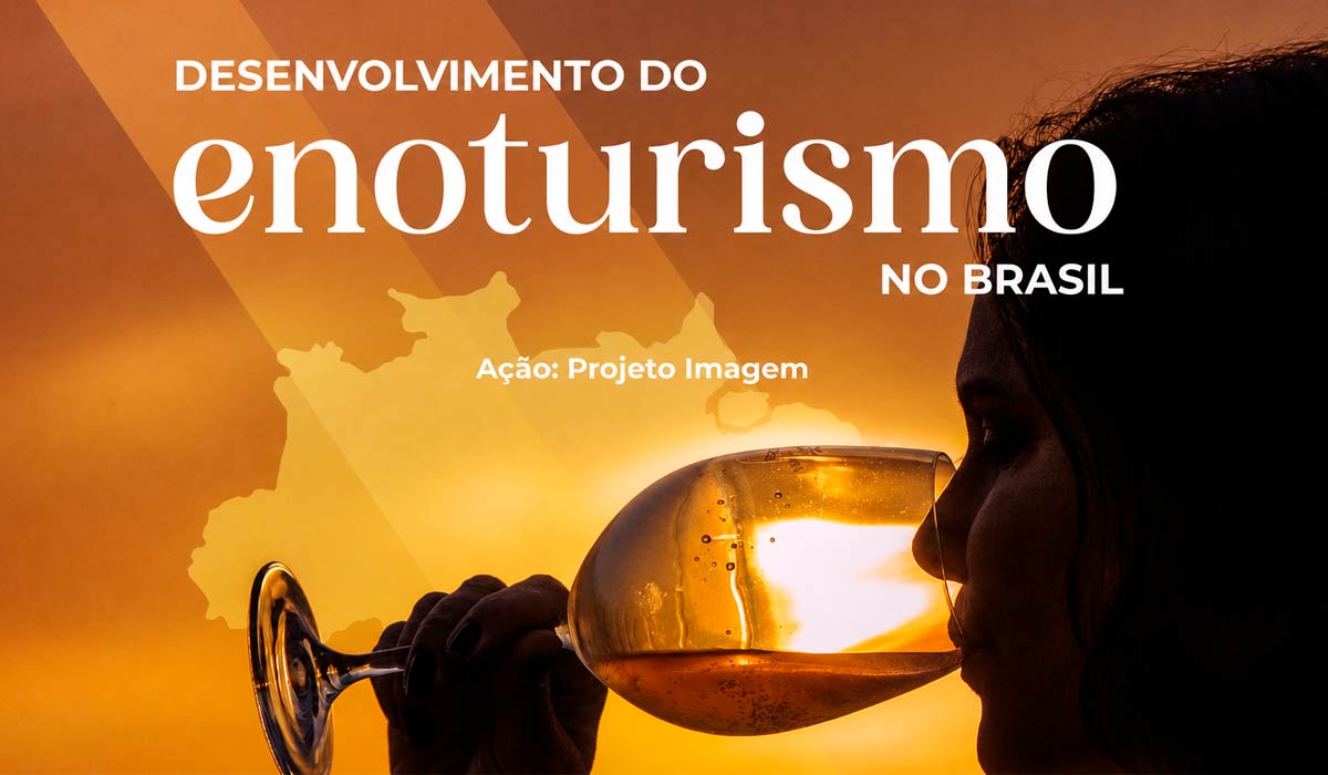 E-book sobre enoturismo no Brasil ganha novo capítulo e coloca a Campanha Gaúcha no roteiro oficial das regiões do vinho