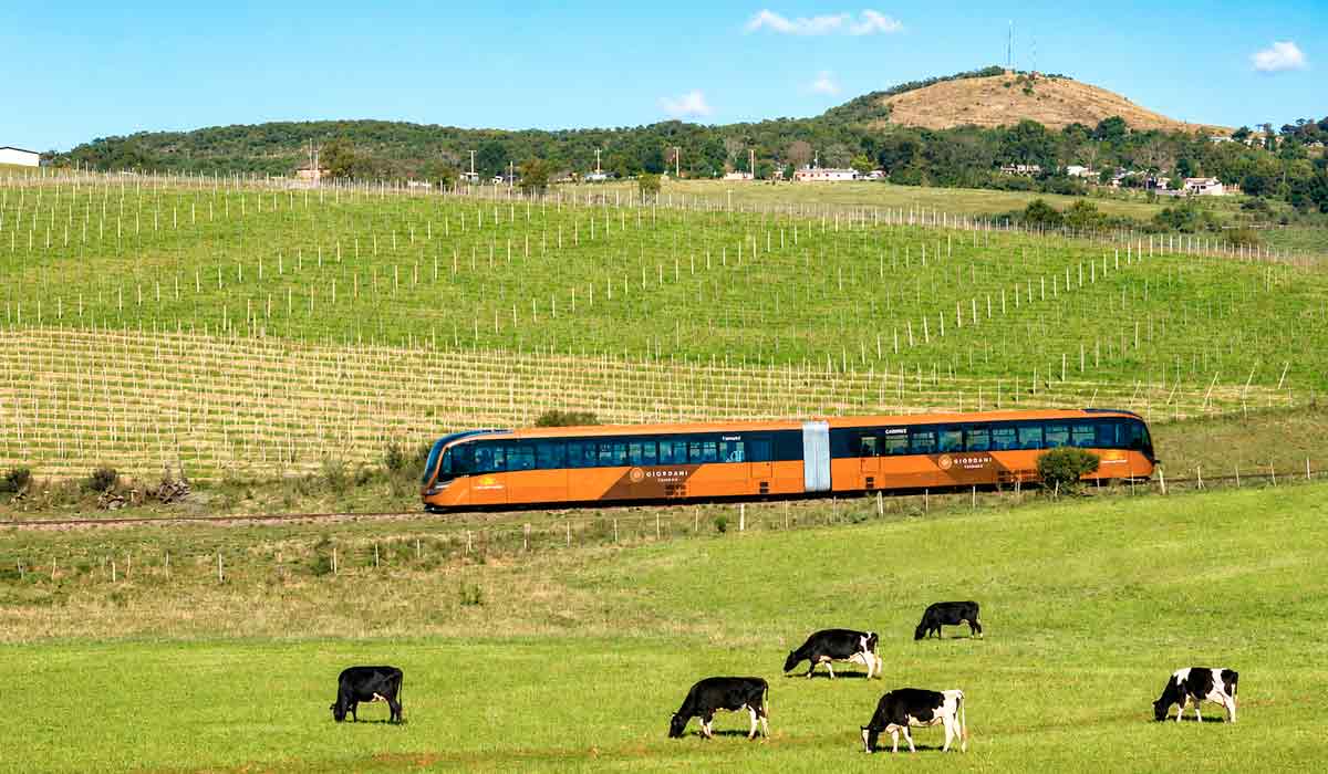 Inaugurado em 2024, o Trem do Pampa convida o visitante a descobrir a identidade do Pampa percorrendo trilhos históricos em meio à imensidão dos campos que caracterizam a fronteira entre Brasil e Uruguai Inaugurado em 2024, o Trem do Pampa convida o visitante a descobrir a identidade do Pampa percorrendo trilhos históricos em meio à imensidão dos campos que caracterizam a fronteira entre Brasil e Uruguai