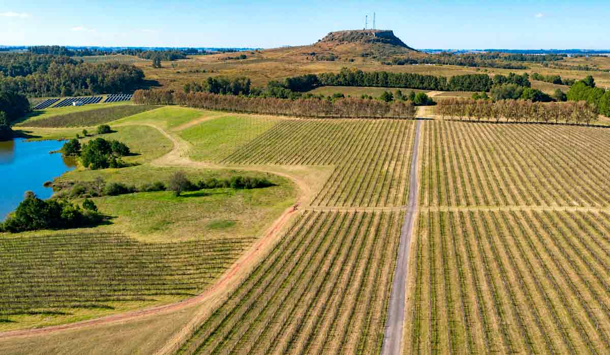 A conexão entre passado e presente também aparece nos rótulos. Vinhos homenageiam personagens e acontecimentos que fazem parte da trajetória das famílias e da própria Campanha Gaúcha, paisagem que se consolida como novo destino do enoturismo A conexão entre passado e presente também aparece nos rótulos. Vinhos homenageiam personagens e acontecimentos que fazem parte da trajetória das famílias e da própria Campanha Gaúcha, paisagem que se consolida como novo destino do enoturismo