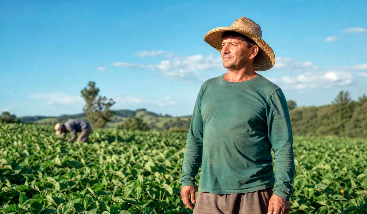 Trabalhador rural pausa a jornada para contemplar o horizonte, retratando a importância do cuidado emocional em meio à lavoura. Um instante de reflexão representa o novo olhar para a saúde mental de quem produz alimentos Trabalhador rural pausa a jornada para contemplar o horizonte, retratando a importância do cuidado emocional em meio à lavoura. Um instante de reflexão representa o novo olhar para a saúde mental de quem produz alimentos