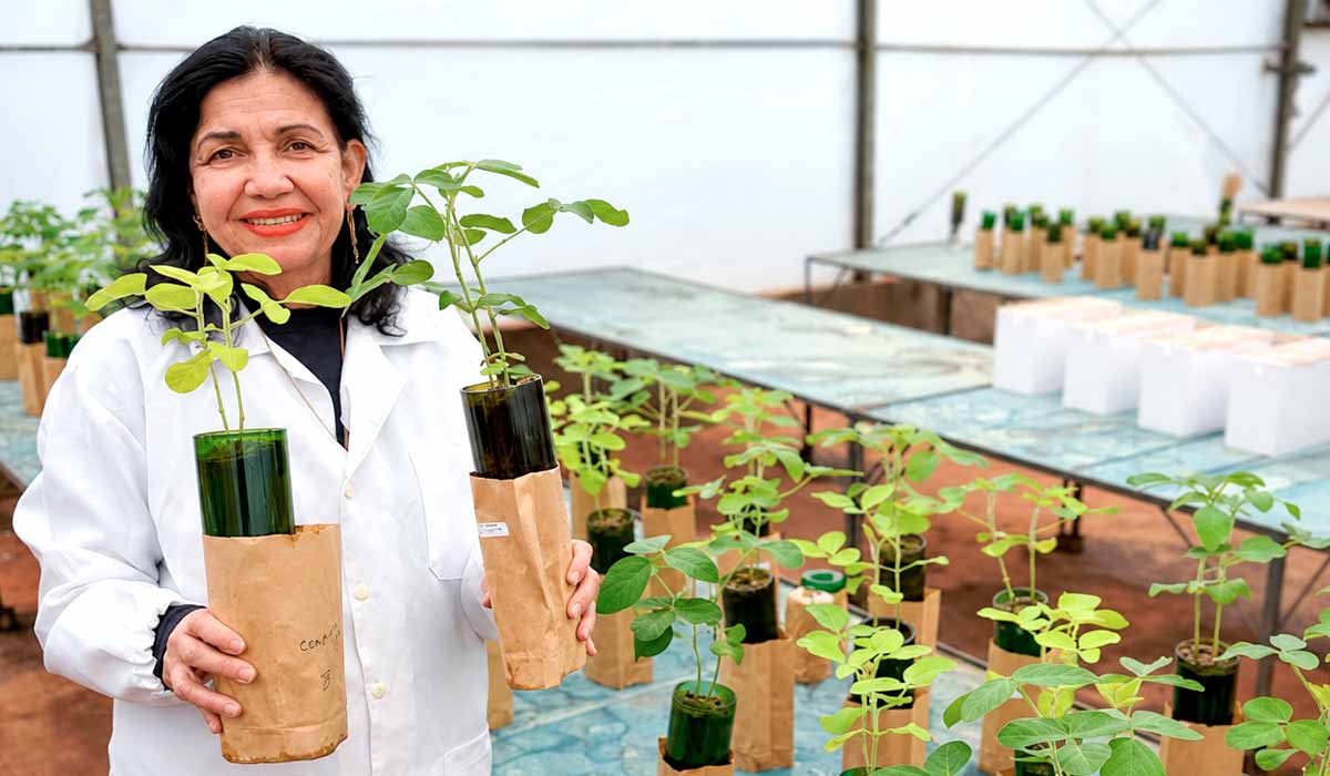 Mariangela Hungria, vencedora do World Food Prize, é egressa da Esalq desde 1979 e lançou 25 tecnologias em microbiana do solo Mariangela Hungria, vencedora do World Food Prize, é egressa da Esalq desde 1979 e lançou 25 tecnologias em microbiana do solo