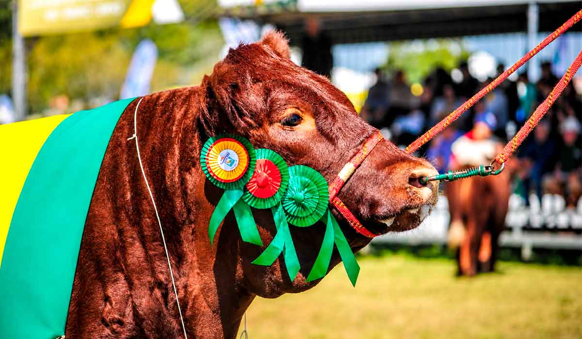 O que acontece nos bastidores sanitários de uma exposição e por que isso vale bilhões para o agro. Entenda as etapas que evitam que um evento vire crise sanitária
