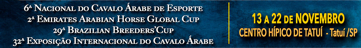 Nacional de Esporte, Global Cup, Breeders' Cup e Exposição Internacional: o calendário completo do cavalo árabe em novembro Nacional de Esporte, Global Cup, Breeders' Cup e Exposição Internacional: o calendário completo do cavalo árabe em novembro
