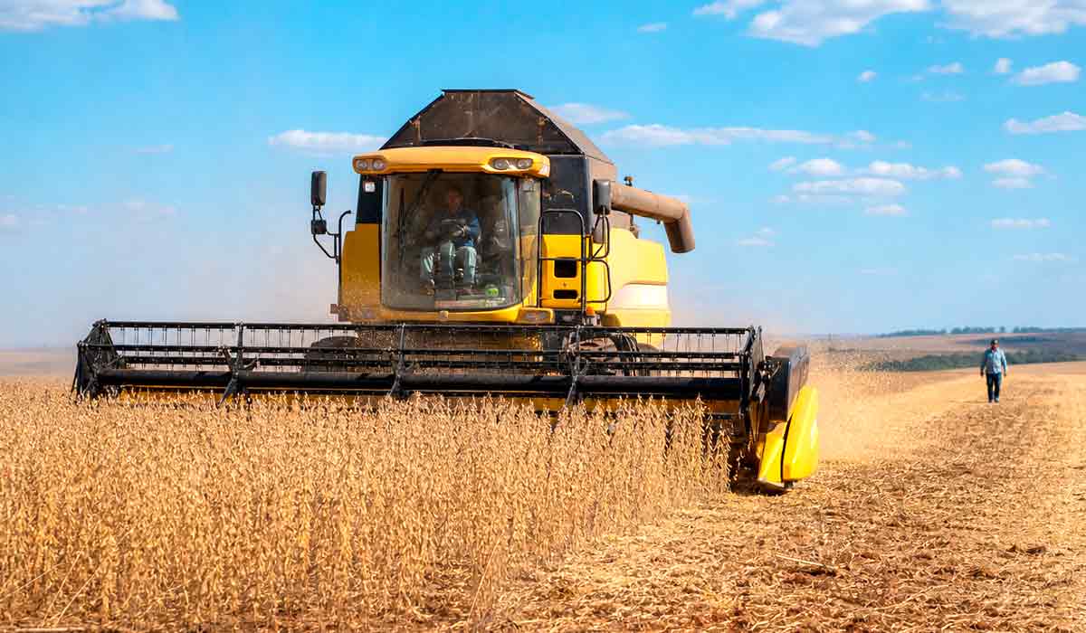 A força da ciência tropical em campo: colheita mecanizada da soja no cerrado brasileiro, resultado de décadas de pesquisa e adaptação de cultivares ao clima do país A força da ciência tropical em campo: colheita mecanizada da soja no cerrado brasileiro, resultado de décadas de pesquisa e adaptação de cultivares ao clima do país