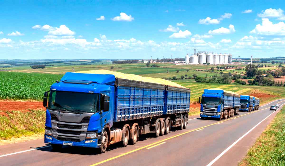 Entre o campo e o navio, a logística define o ritmo: caminhões graneleiros cruzam o interior em direção aos portos Entre o campo e o navio, a logística define o ritmo: caminhões graneleiros cruzam o interior em direção aos portos