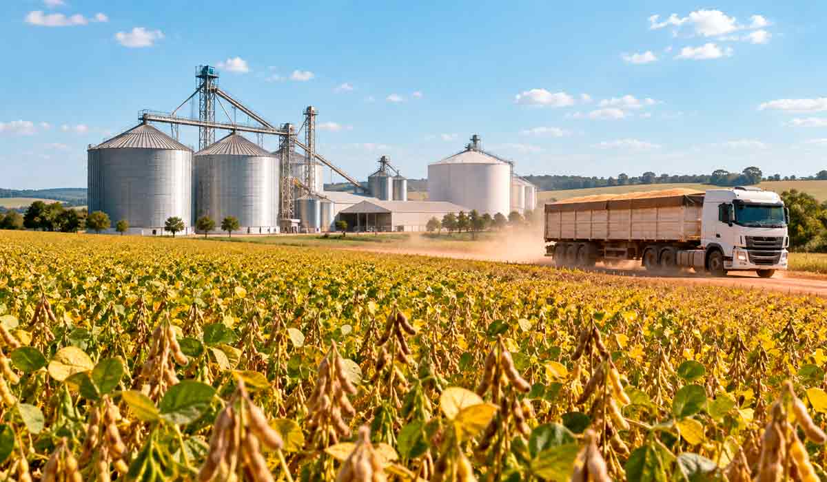 Safra recorde, estrutura limitada: entre a lavoura e o silo, o agro convive com gargalos que custam caro ao produtor