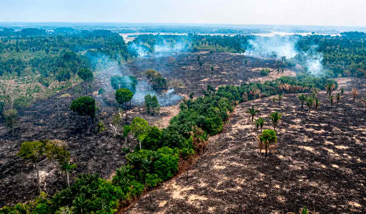 No Amazonas, 8 em cada 10 focos de fogo estão em imóveis rurais privados. Maior parte dos incêndios no Amazonas vem de áreas com cadastro rural, aponta Inpe, e queimadas disparam após o 1º turno das eleições - Foto: Ibama No Amazonas, 8 em cada 10 focos de fogo estão em imóveis rurais privados. Maior parte dos incêndios no Amazonas vem de áreas com cadastro rural, aponta Inpe, e queimadas disparam após o 1º turno das eleições - Foto: Ibama