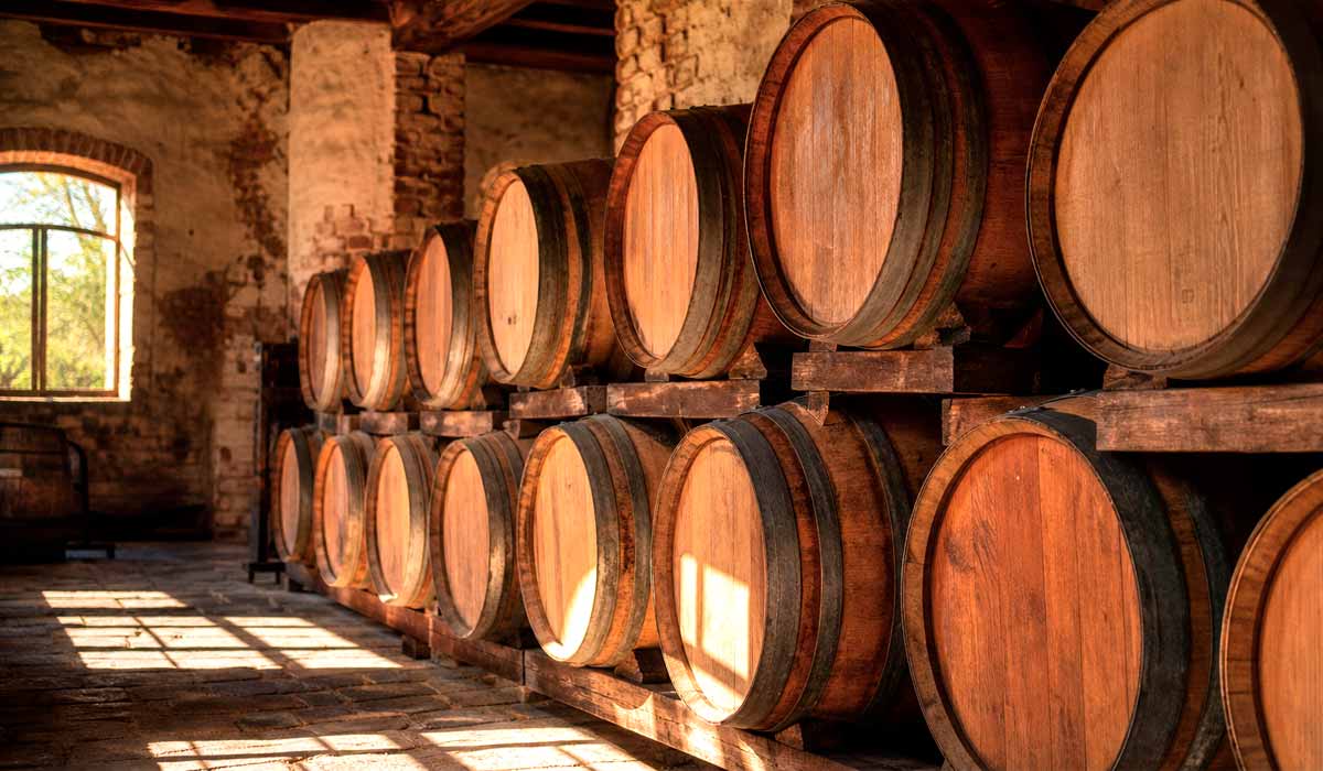 Barris de madeiras brasileiras descansam em adega com luz natural, ilustrando a maturação de bebidas com espécies nativas Barris de madeiras brasileiras descansam em adega com luz natural, ilustrando a maturação de bebidas com espécies nativas