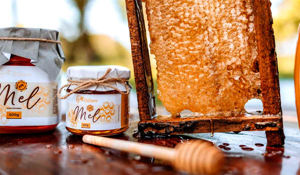 Cinco mil colmeias produzem 60 toneladas de mel por ano na região com flora nativa da Mata Atlântica Cinco mil colmeias produzem 60 toneladas de mel por ano na região com flora nativa da Mata Atlântica