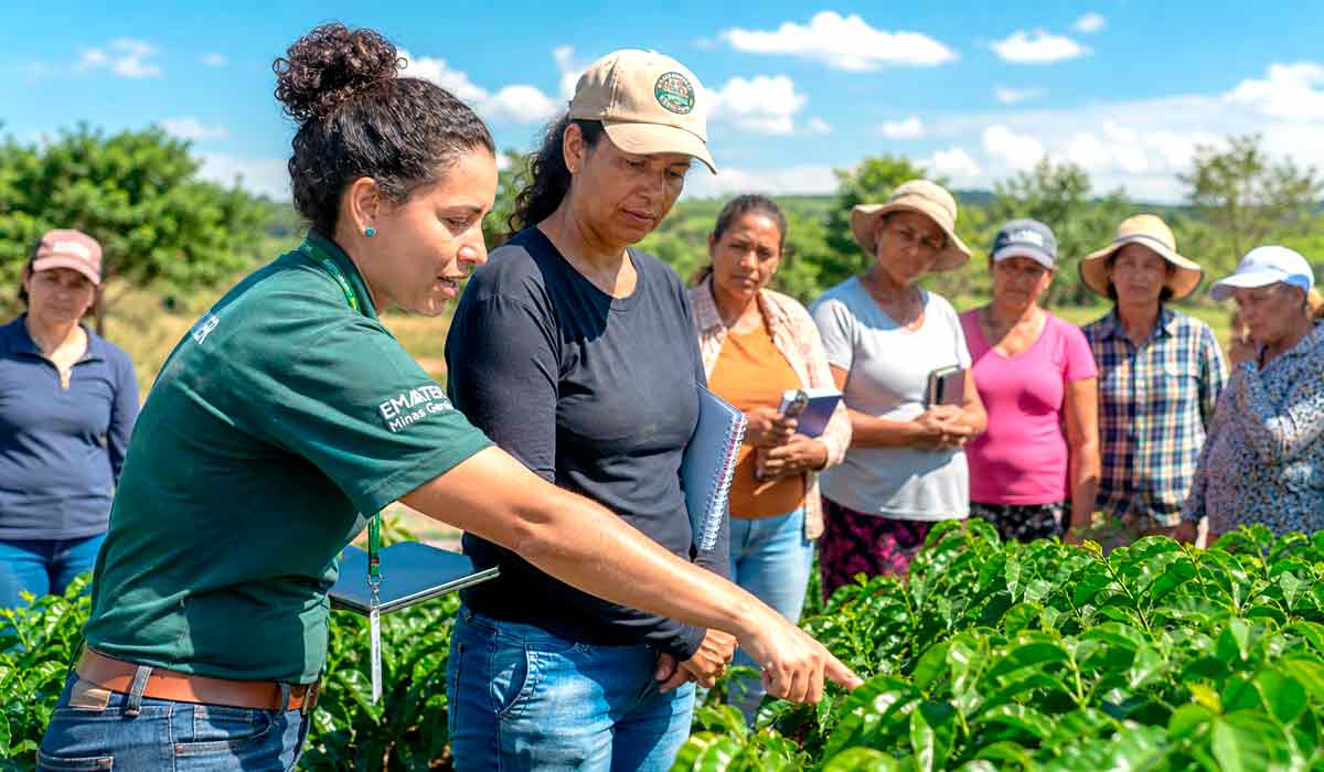 Mulheres em treinamento técnico no campo representam o caminho para corrigir o acesso limitado à assistência na agricultura familiar Mulheres em treinamento técnico no campo representam o caminho para corrigir o acesso limitado à assistência na agricultura familiar