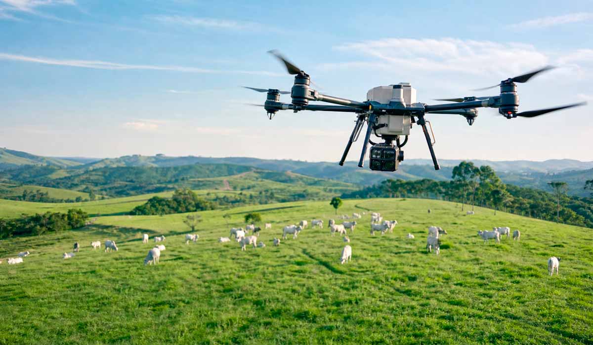 Drone sobrevoa pastagem com gado capturando imagens multiespectrais, tecnologia que eleva a precisão no manejo da forragem e do rebanho