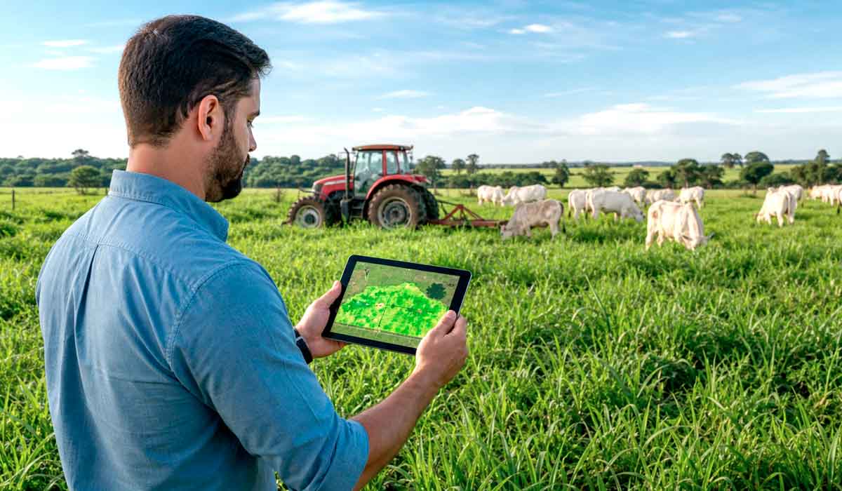 Técnico analisa mapa de índices de vegetação em tablet, ferramenta que identifica variações de biomassa e saúde da pastagem no campo Técnico analisa mapa de índices de vegetação em tablet, ferramenta que identifica variações de biomassa e saúde da pastagem no campo